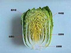 会看到颜色偏黄的